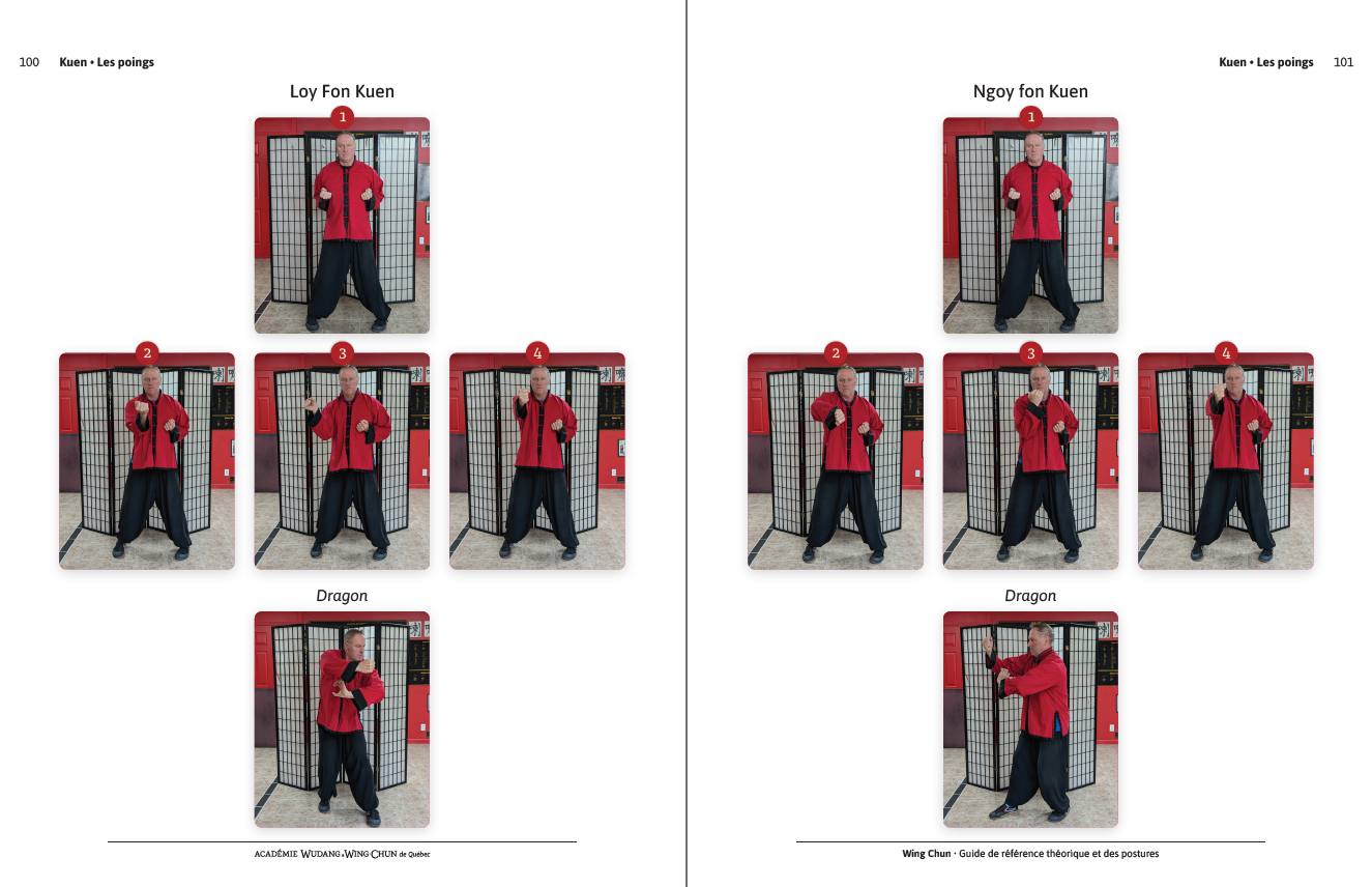 Aperçu du guide Wing Chun, pages 100–101 · les poings