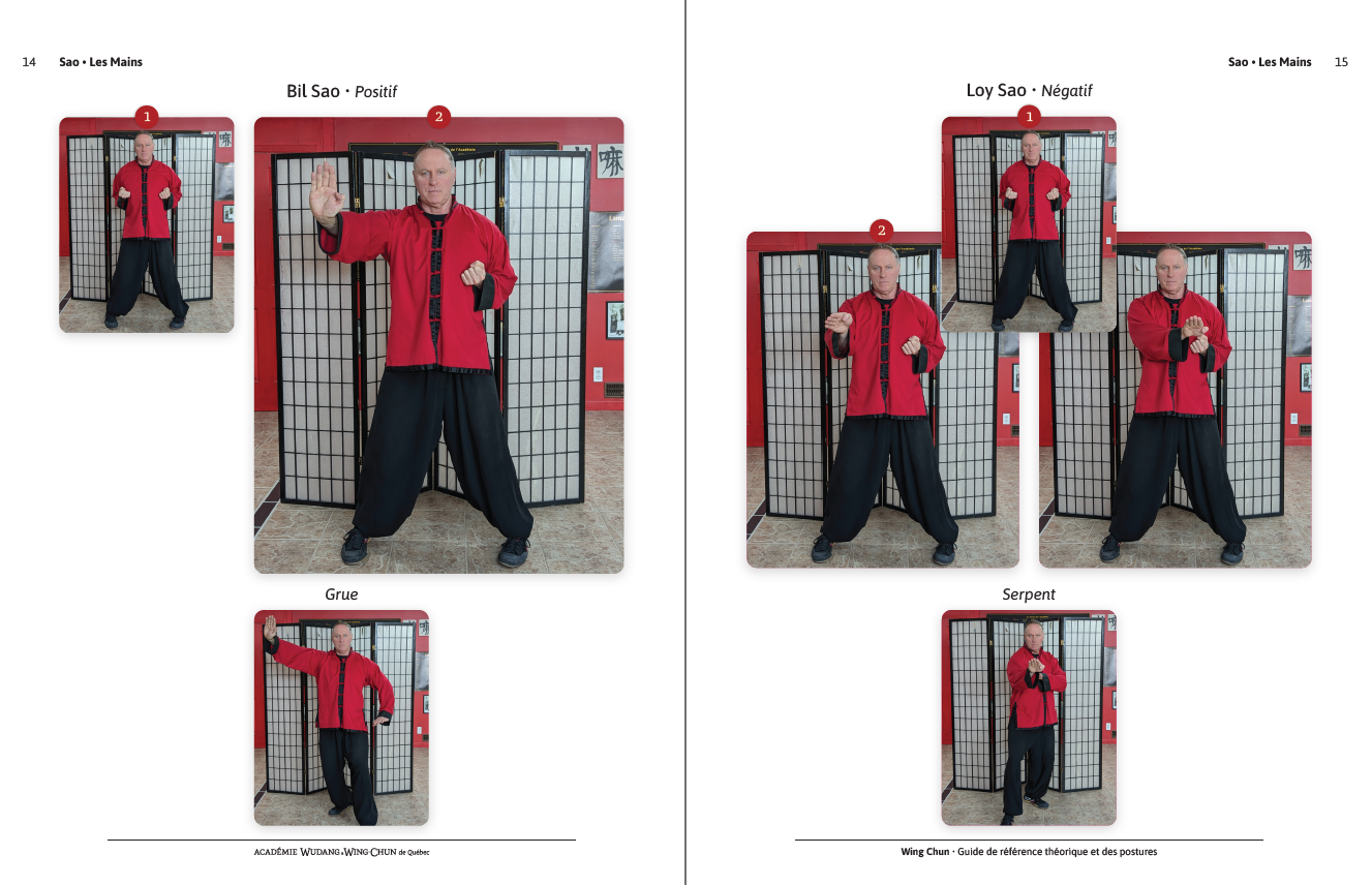 Aperçu du guide Wing Chun, pages 14–15 · les mains