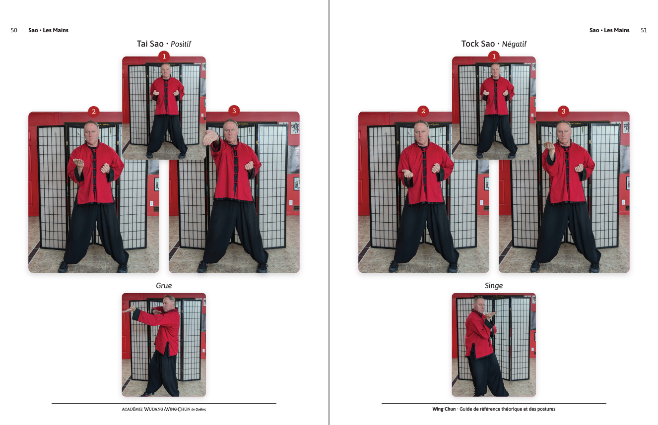 Aperçu du guide Wing Chun, pages 50–51 · les mains